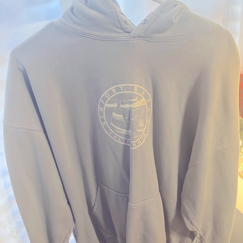 Baby blue brandy Melville hoodie